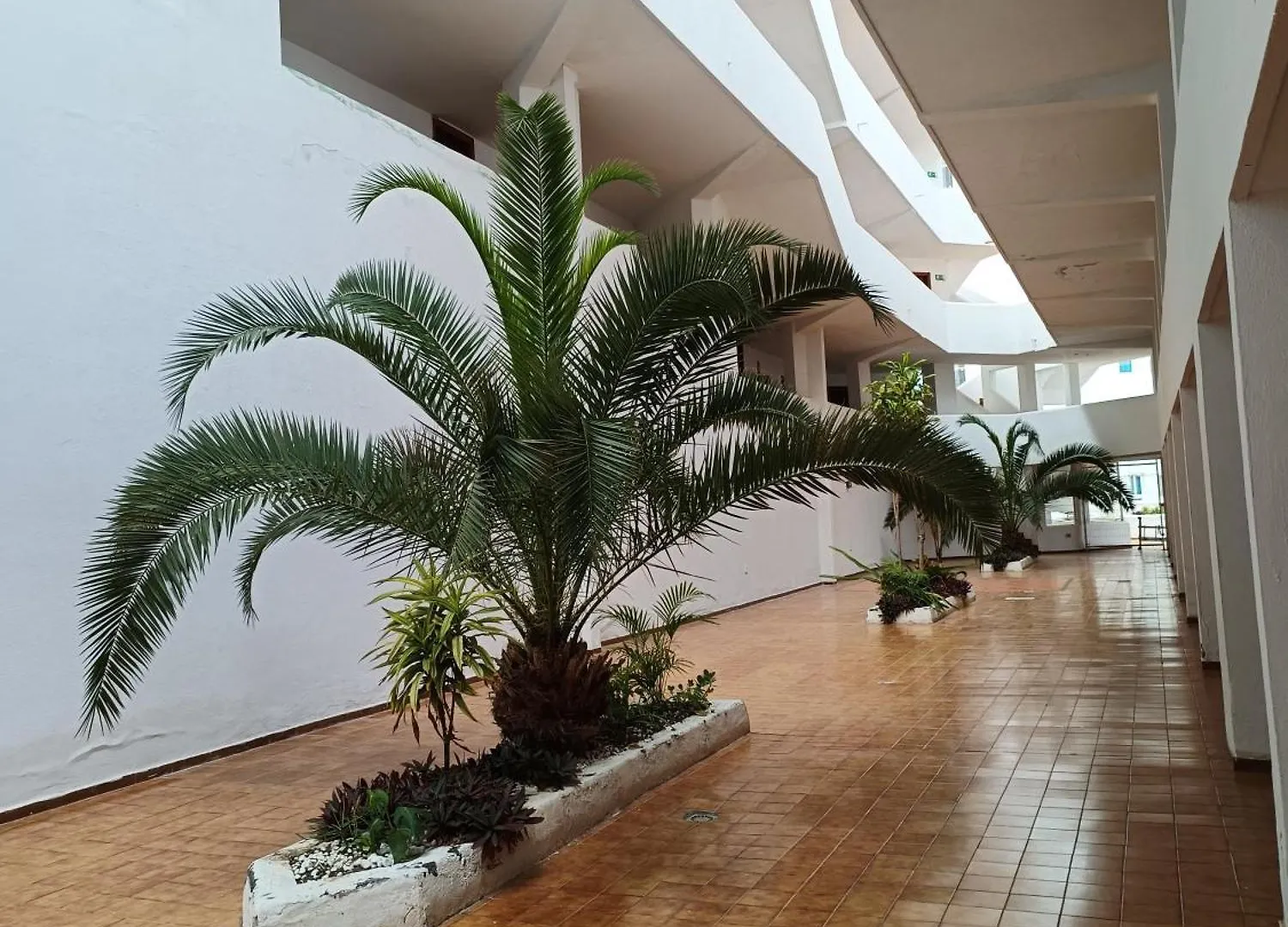 אדחה Parque Royal Apartment 2
